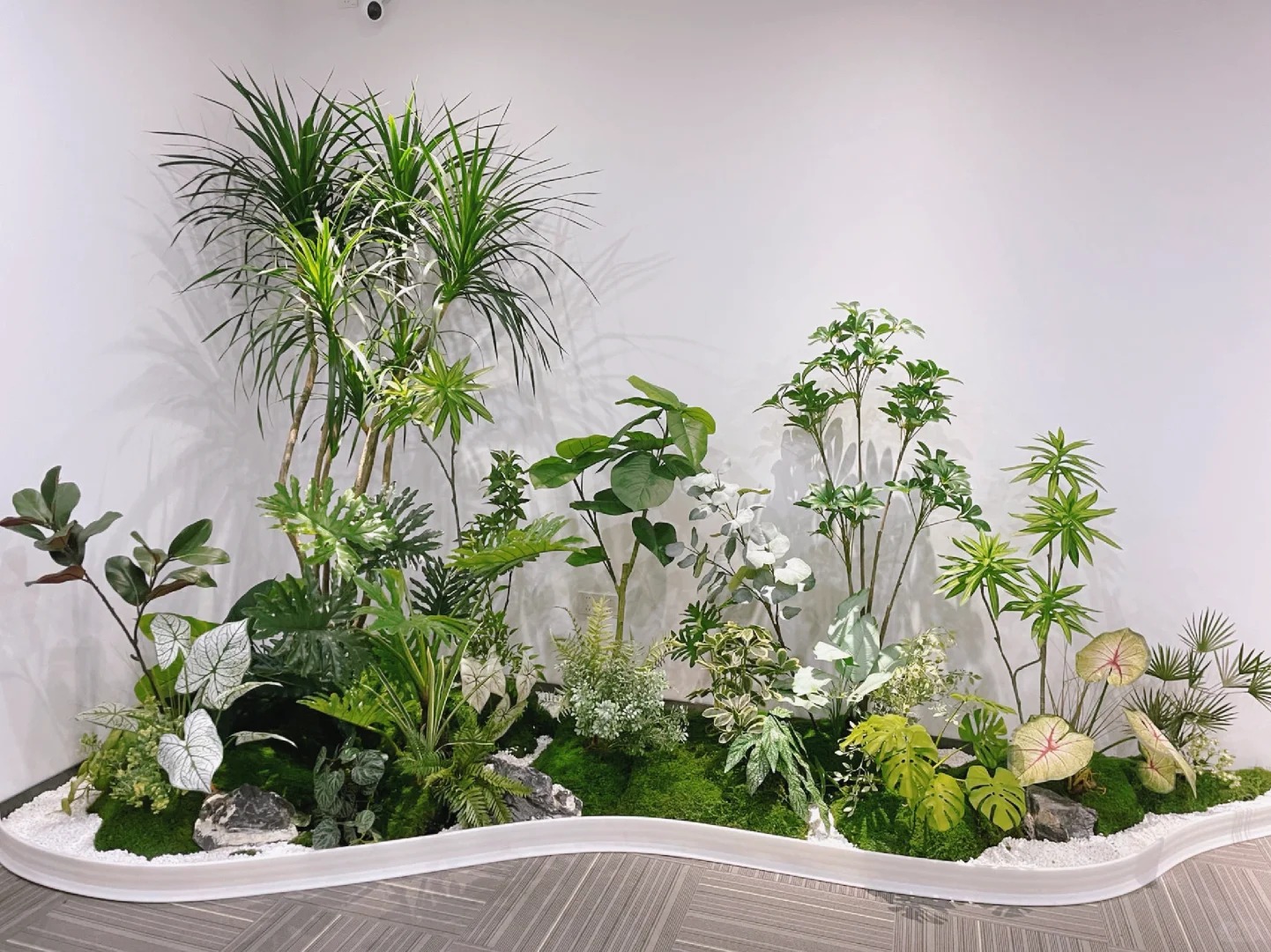 余姚盆景出租，用绿植装点美好生活